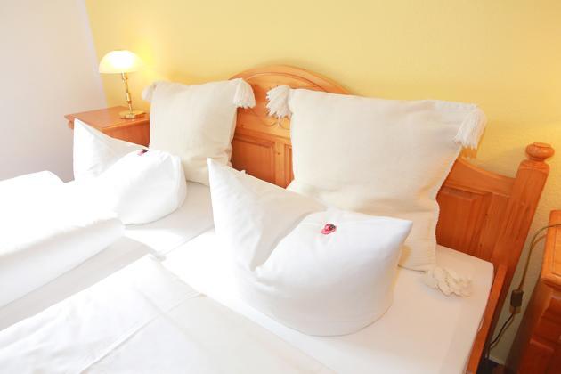 Hotel In Der Muehle Werdau Oda fotoğraf