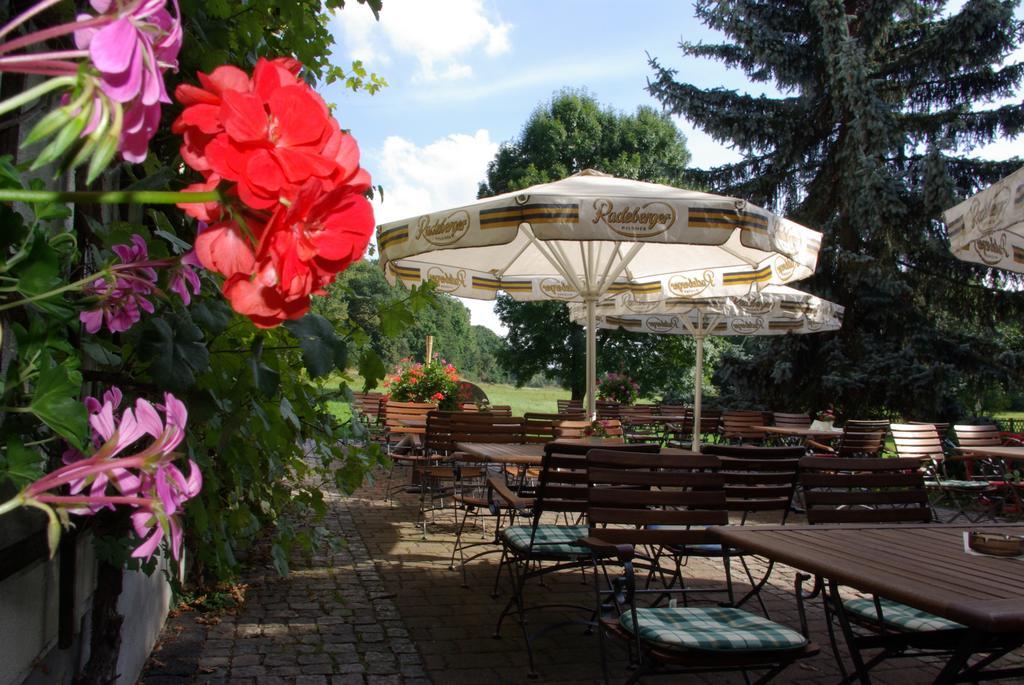 Hotel In Der Muehle Werdau Dış mekan fotoğraf